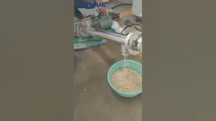 De schroeftransporteur transporteert witte kidneybonen#transporteur